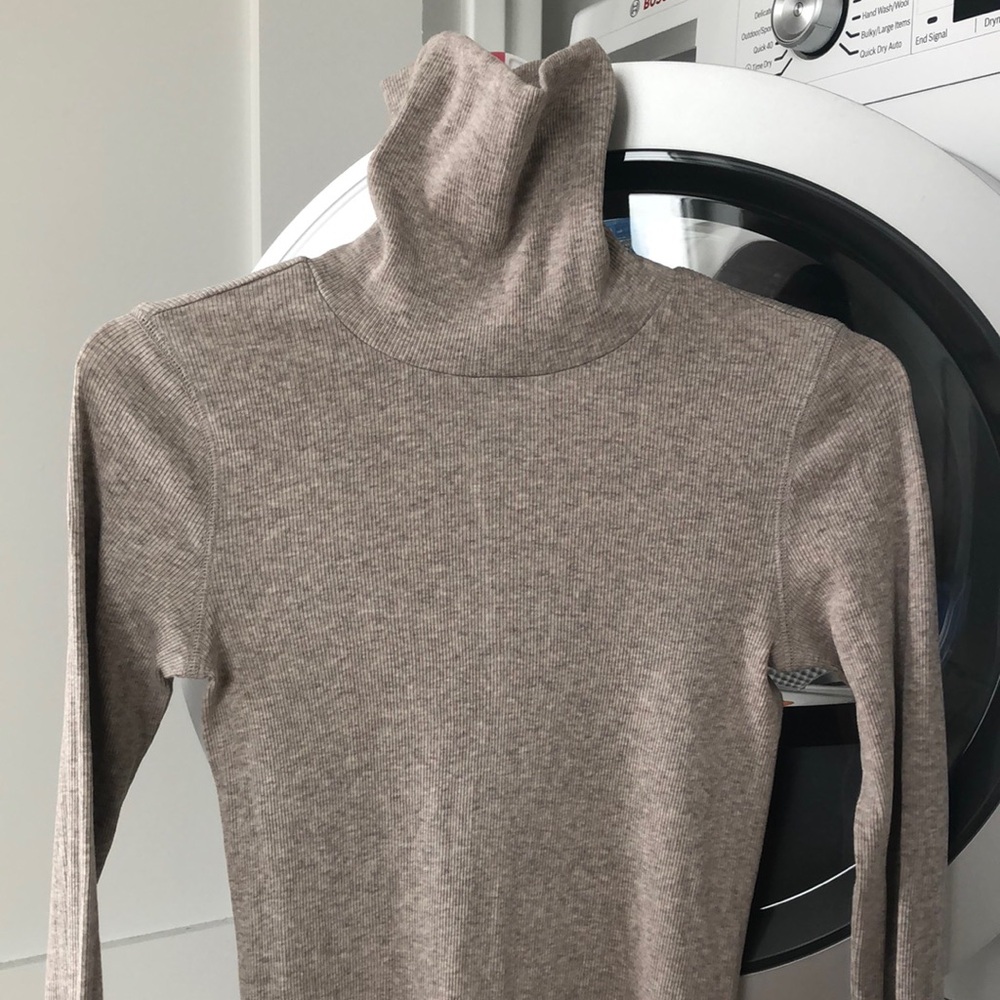 Everlane Luxe Rib Turtleneck